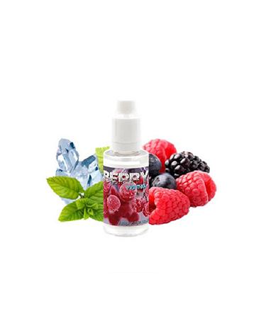 Aroma BERRY MENTHOL Vampire Vape 30ml