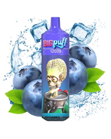 Blueberry Ice 12000 Puffs - Big Puff (SEM NECOTINA)