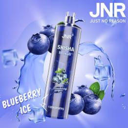 Descartável BLUEBERRY ICE Shisha Hookah JNR 12000 Puff SEM NICOTINA