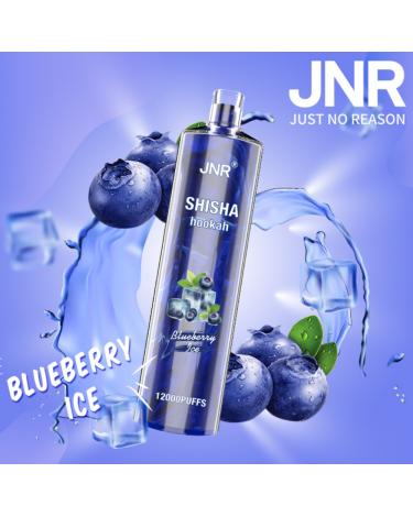 Descartável BLUEBERRY ICE Shisha Hookah JNR 12000 Puff SEM NICOTINA