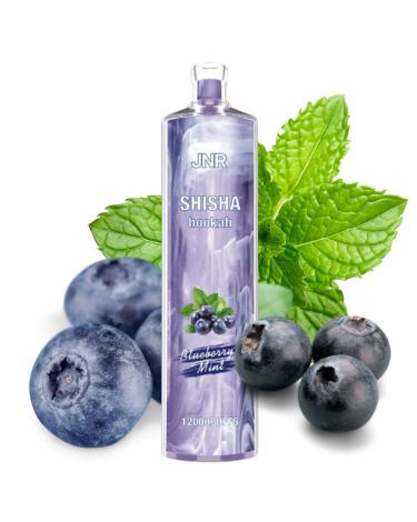 Descartável BLUEBERRY MINT Shisha Hookah JNR 12000 Puff SEM NICOTINA