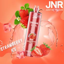 Descartável STRAWBERRY ICE Shisha Hookah JNR 12000 Puff SEM NICOTINA