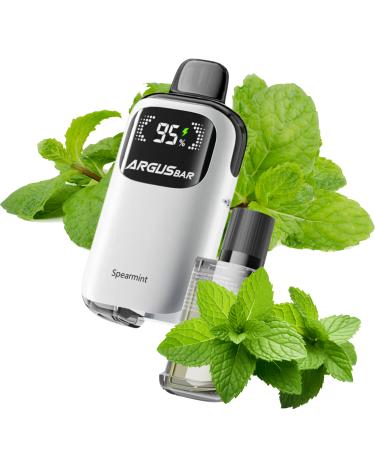 Spearmint 12000 puffs 2+10ml - Argus Bar Prime